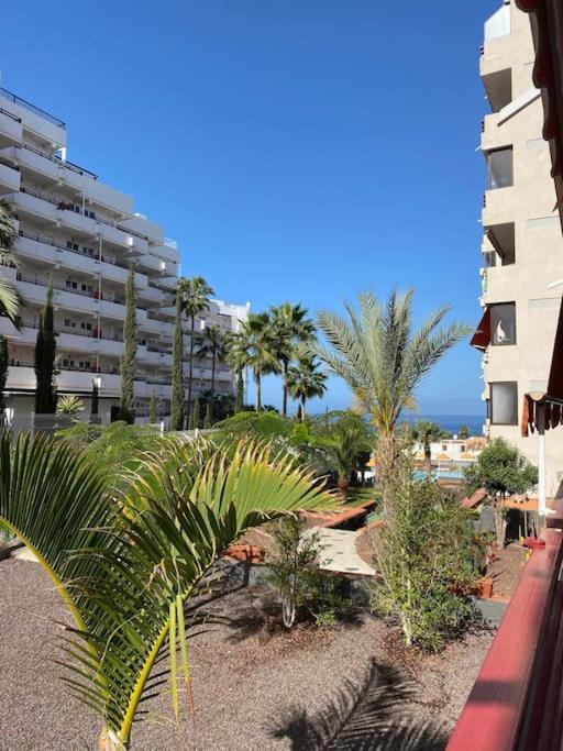 Delizioso Studio Residence Olympia A Playa De Las Americas 外观 照片